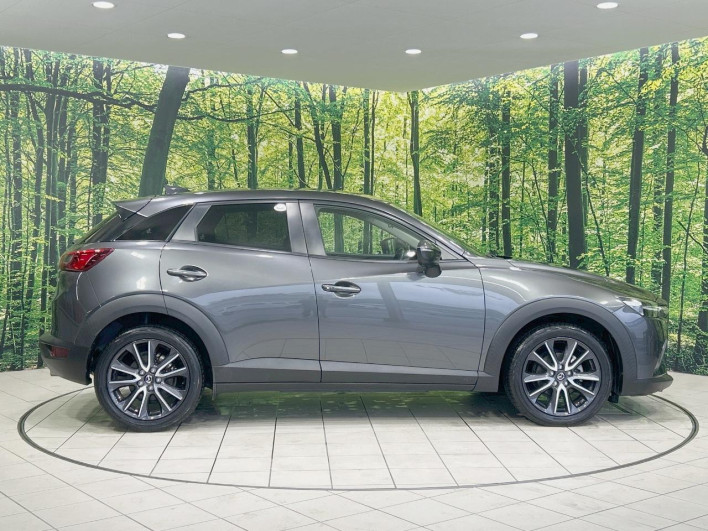 2017 Mazda CX-3 LDA-DK5FW (UW-69f4957233223)[16]