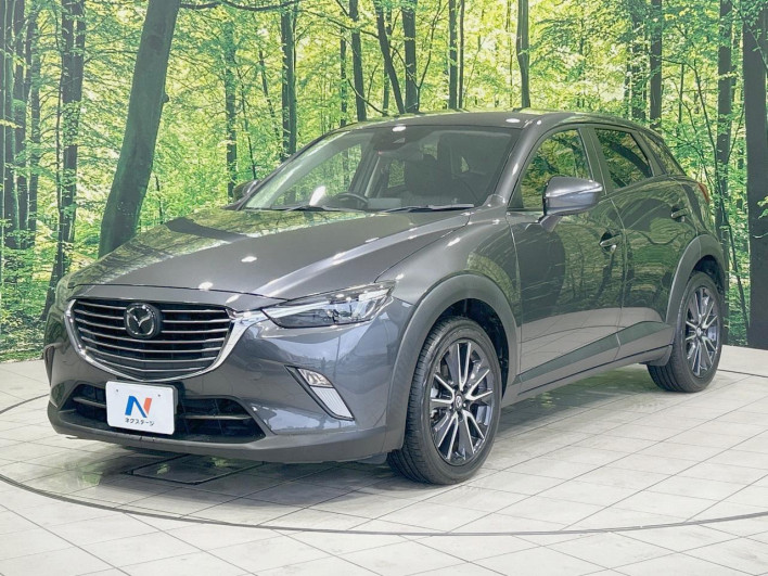 2017 Mazda CX-3 LDA-DK5FW (UW-69f4957233223)[13]