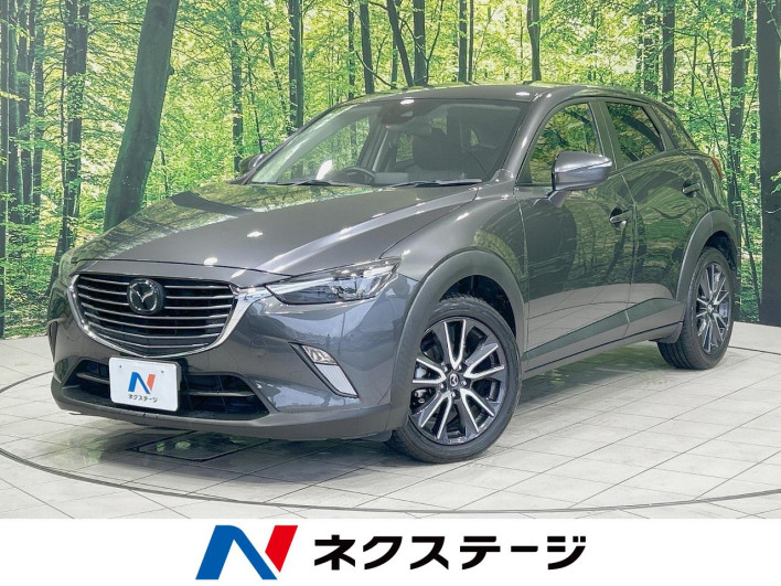 2017 Mazda CX-3 LDA-DK5FW (UW-69f4957233223)[3]