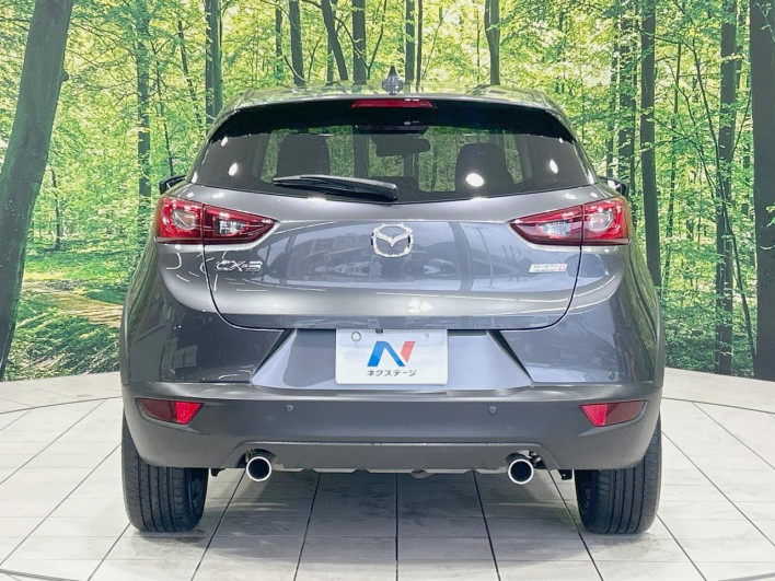 2017 Mazda CX-3 LDA-DK5FW (UW-69f4957233223)[18]