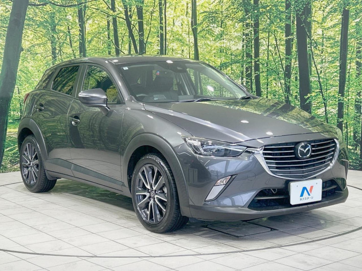 2017 Mazda CX-3 LDA-DK5FW (UW-69f4957233223)[15]