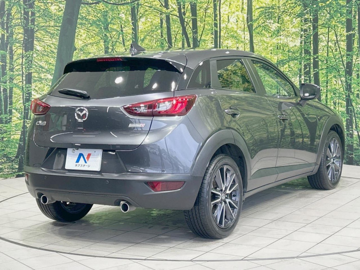 2017 Mazda CX-3 LDA-DK5FW (UW-69f4957233223)[17]