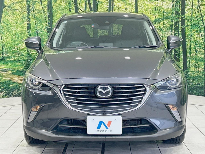 2017 Mazda CX-3 LDA-DK5FW (UW-69f4957233223)[14]