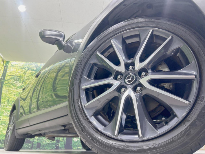 2017 Mazda CX-3 LDA-DK5FW (UW-69f4957233223)[10]