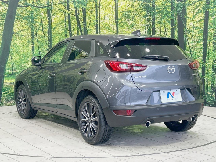 2017 Mazda CX-3 LDA-DK5FW (UW-69f4957233223)[19]