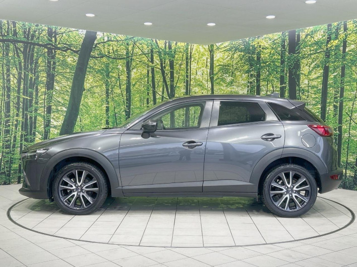2017 Mazda CX-3 LDA-DK5FW (UW-69f4957233223)[20]