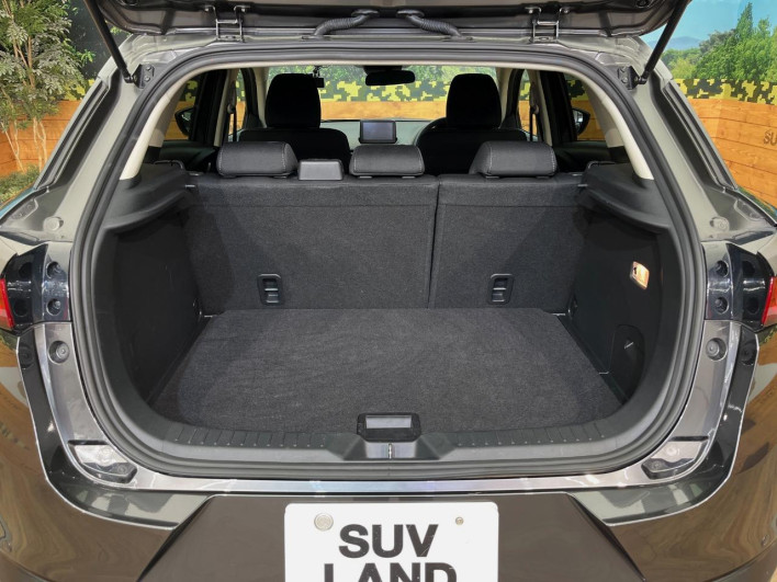 2020 Mazda CX-3 5BA-DKLAW (UW-69f4957368091)[6]
