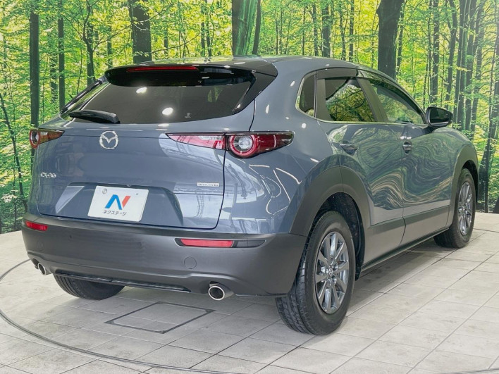 2022 Mazda CX-30 5BA-DMEP (UW-69f49574a000d)[22]