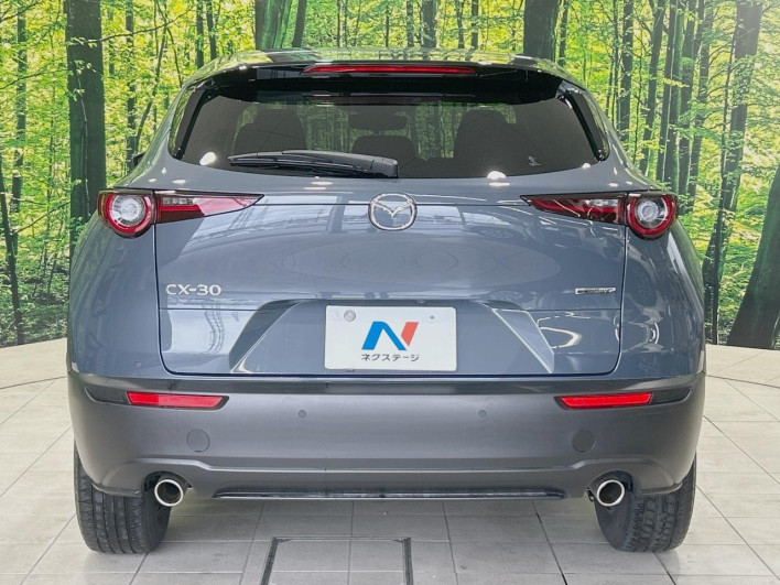 2022 Mazda CX-30 5BA-DMEP (UW-69f49574a000d)[21]