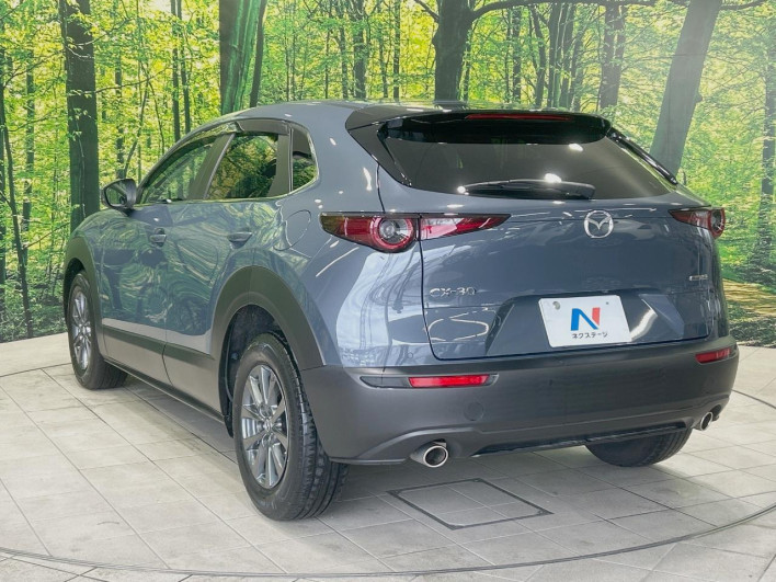 2022 Mazda CX-30 5BA-DMEP (UW-69f49574a000d)[8]