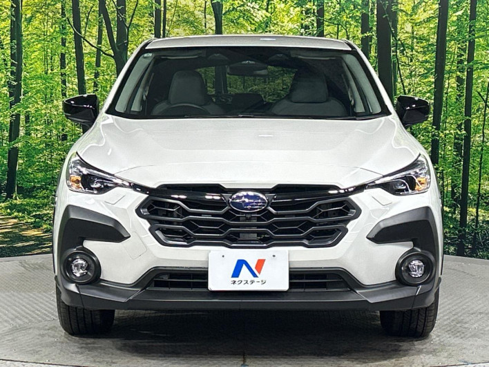 2025 Subaru Crosstrek 5AA-GUE (UW-69f4959f303f5)[23]
