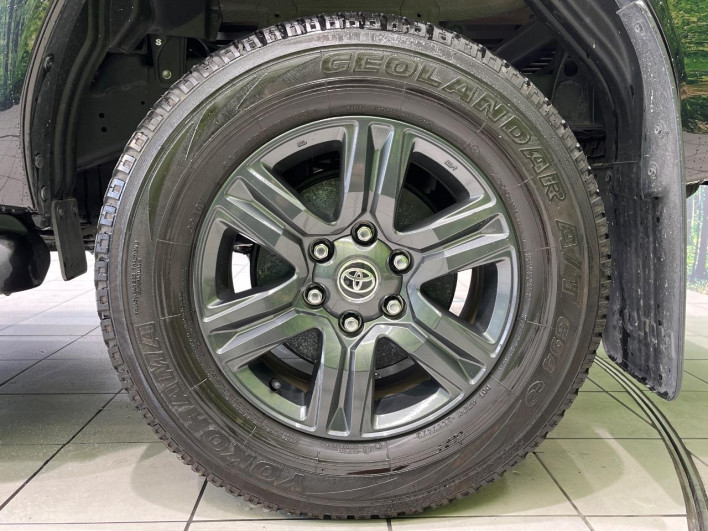 2023 Toyota Hilux 3DF-GUN125 (UW-69f4959f4971f)[14]
