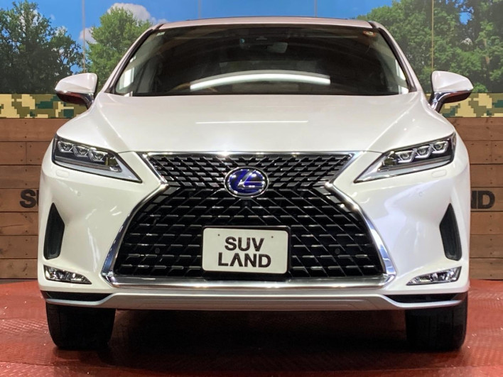 2020 Lexus RX DAA-GYL20W (UW-69f495a12f0ed)[13]