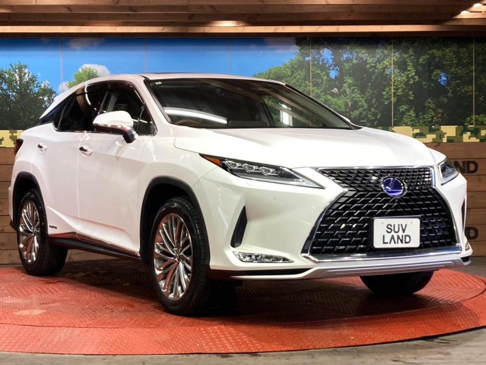 2020 Lexus RX DAA-GYL20W (UW-69f495a12f0ed)[14]