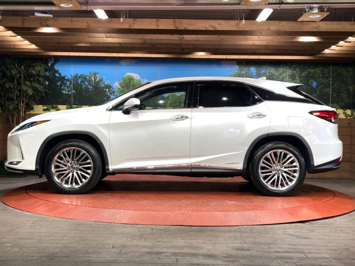 2020 Lexus RX DAA-GYL20W (UW-69f495a12f0ed)[19]