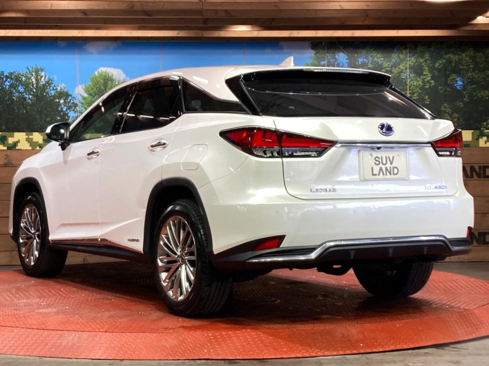 2020 Lexus RX DAA-GYL20W (UW-69f495a12f0ed)[18]