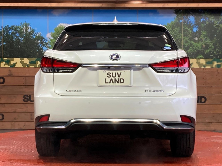 2020 Lexus RX DAA-GYL20W (UW-69f495a12f0ed)[17]