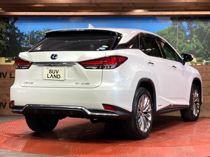2020 Lexus RX DAA-GYL20W (UW-69f495a12f0ed)[16]