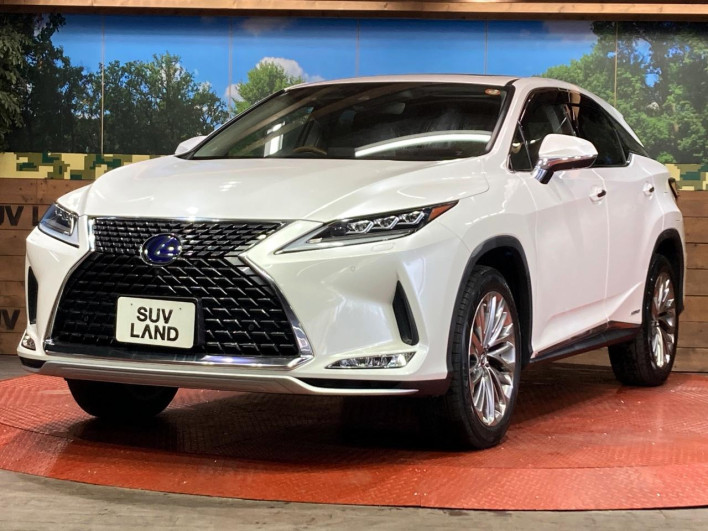 2020 Lexus RX DAA-GYL20W (UW-69f495a12f0ed)[12]