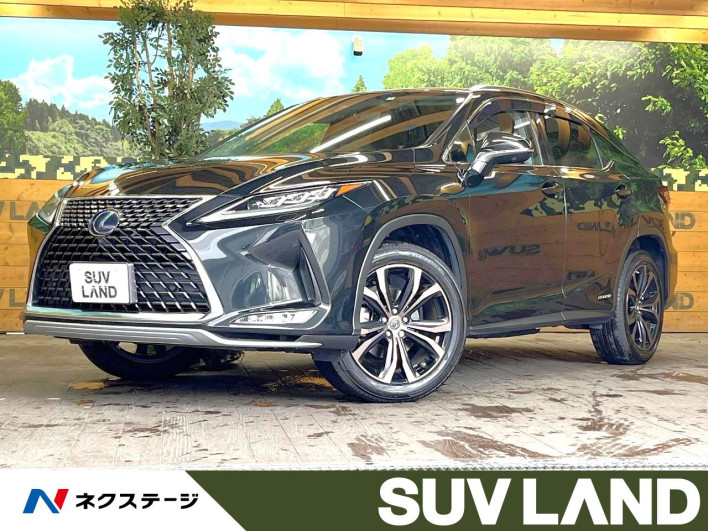 2020 Lexus RX DAA-GYL20W (UW-69f495a135951)[3]