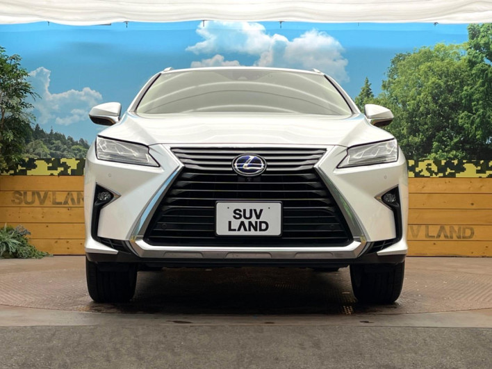 2018 Lexus RX DAA-GYL26W (UW-69f495a1abb75)[18]