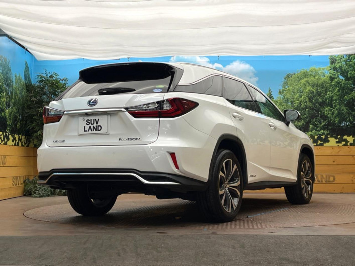 2018 Lexus RX DAA-GYL26W (UW-69f495a1abb75)[21]