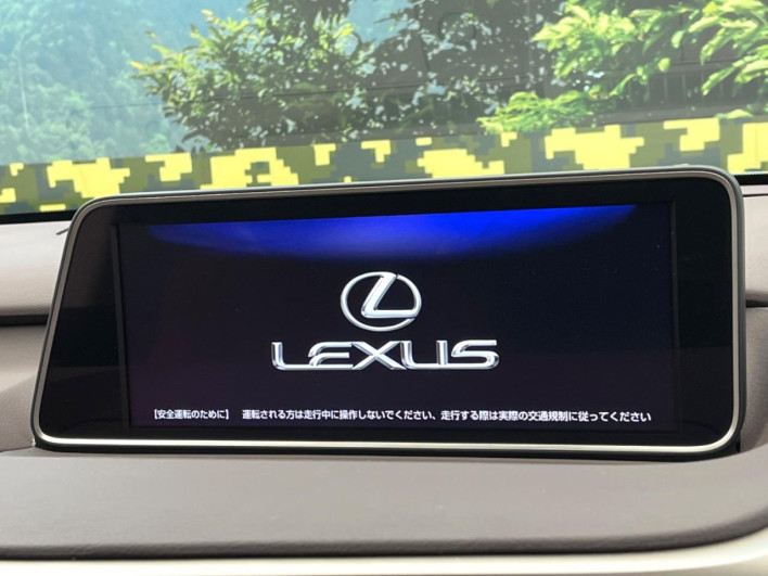 2018 Lexus RX DAA-GYL26W (UW-69f495a1abb75)[12]