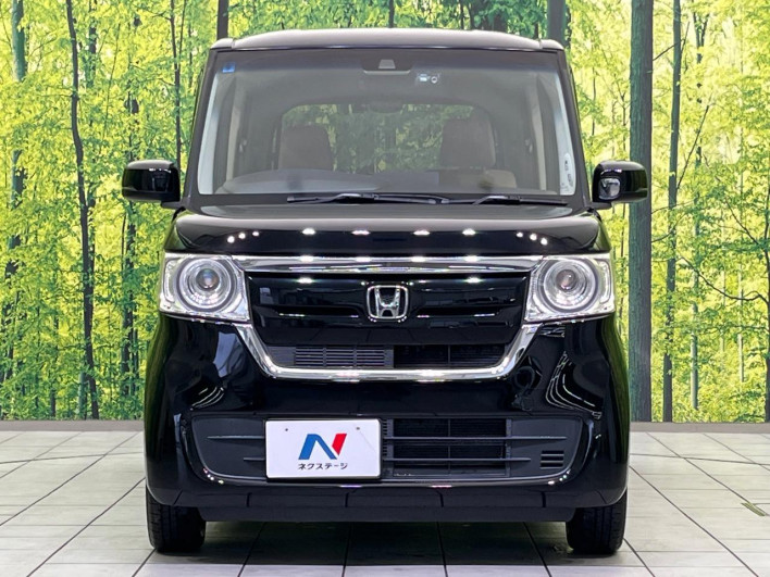 2019 Honda N-BOX DBA-JF3 (UW-69f495c3ea60a)[4]