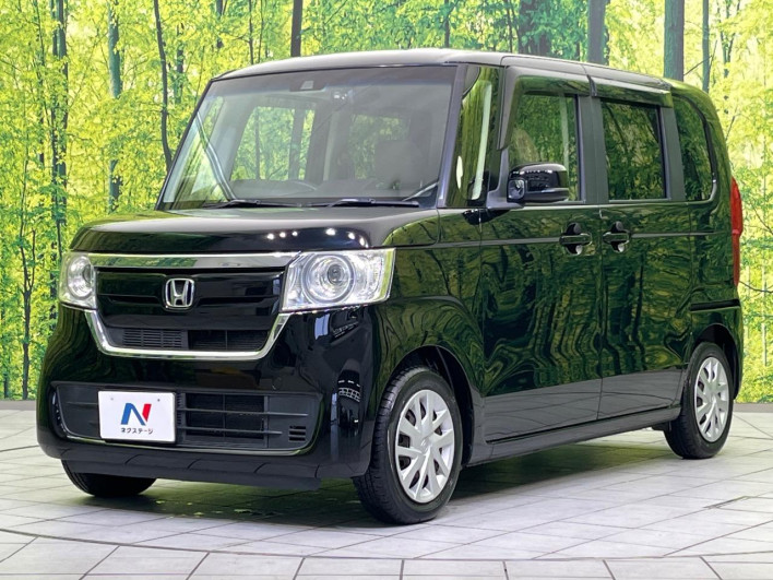 2019 Honda N-BOX DBA-JF3 (UW-69f495c3ea60a)[5]