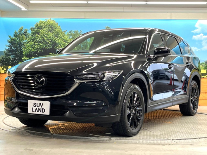 2022 Mazda CX-8 3da-kg2p (UW-69f495e0e7198)[10]