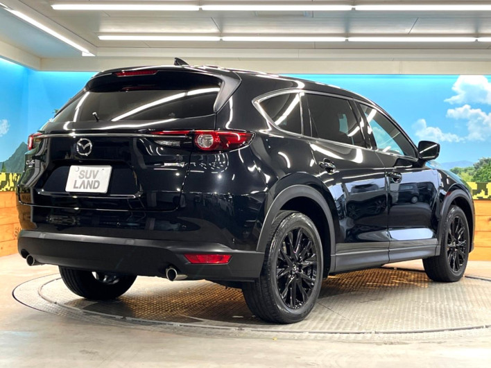2022 Mazda CX-8 3da-kg2p (UW-69f495e0e7198)[14]