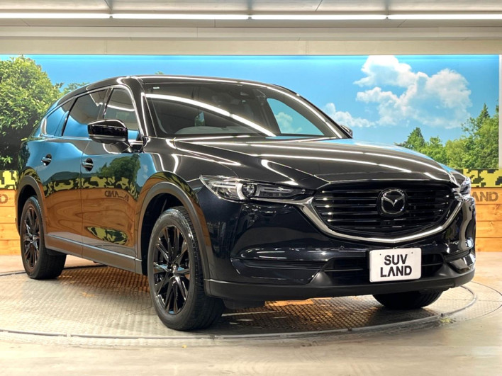 2022 Mazda CX-8 3da-kg2p (UW-69f495e0e7198)[16]