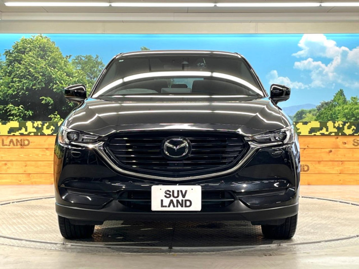 2022 Mazda CX-8 3da-kg2p (UW-69f495e0e7198)[17]