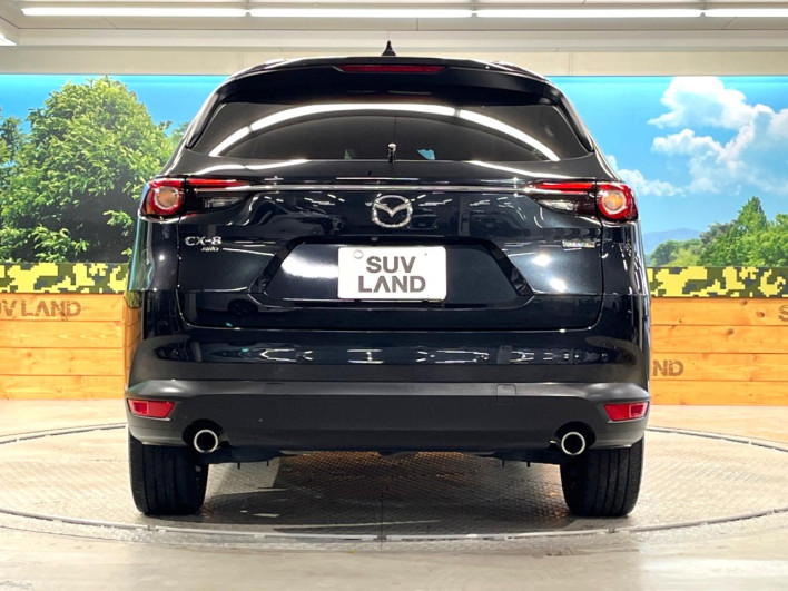 2022 Mazda CX-8 3da-kg2p (UW-69f495e0e7198)[13]