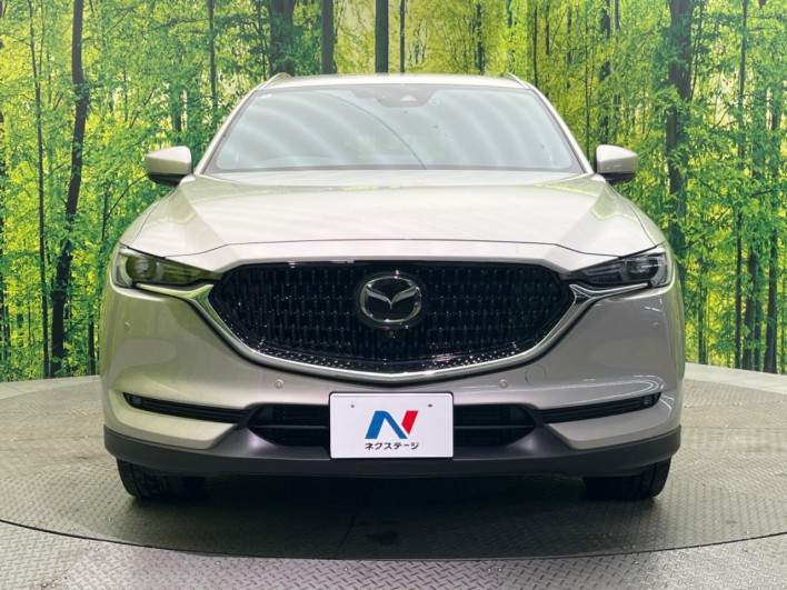 2022 Mazda CX-8 3da-kg2p (UW-69f495e107c66)[9]