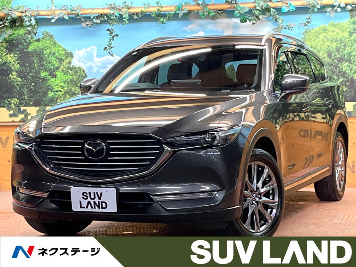 2019 Mazda CX-8 6BA-KG5P (UW-69f495e214ed1)[3]