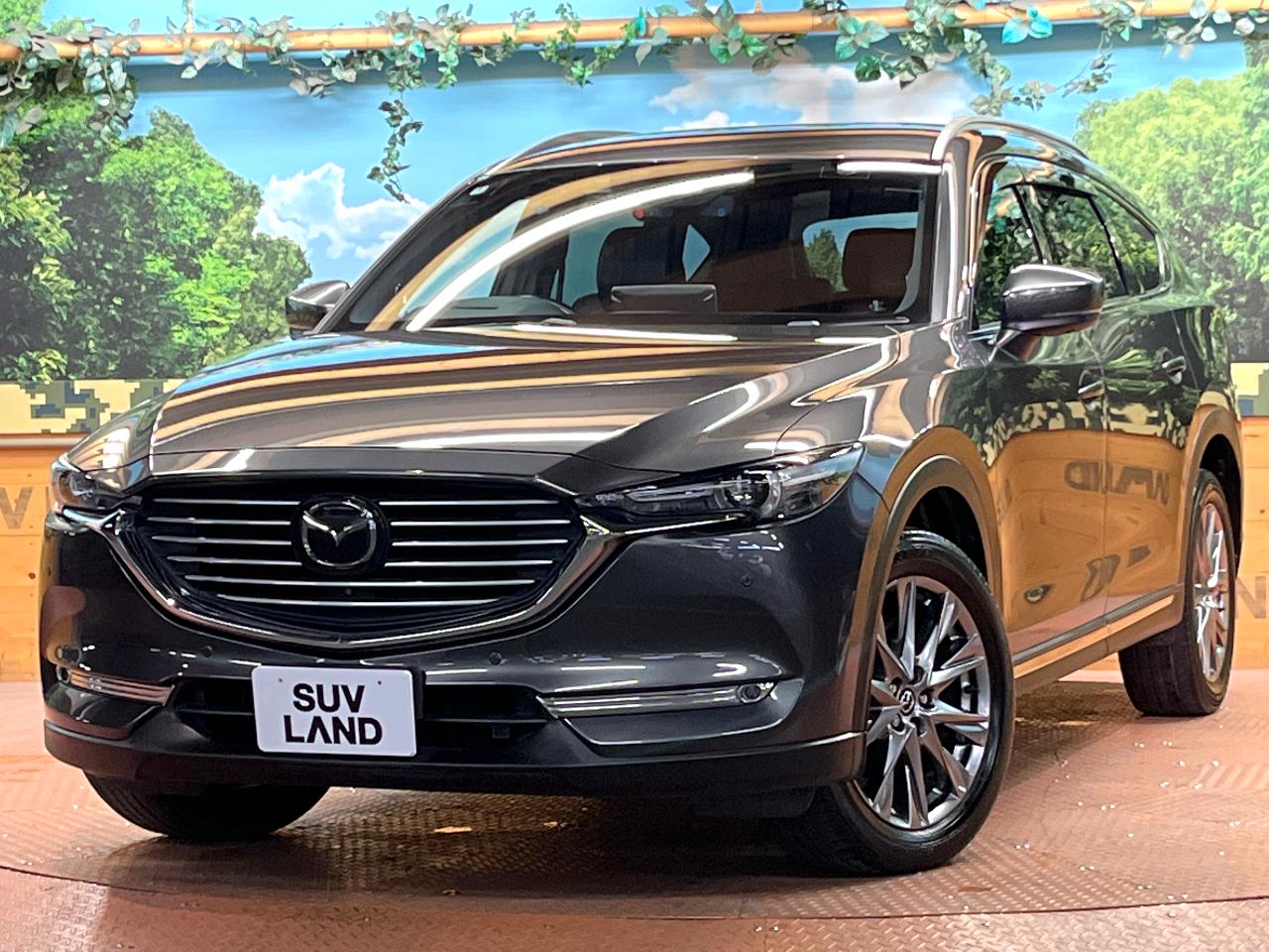 2019 Mazda CX-8 6BA-KG5P