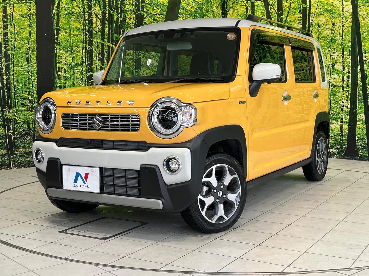 2022 Suzuki Hustler 4AA-MR52S