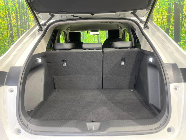 2021 Honda VEZEL 6AA-RV5 (UW-69f4968829841)[15]