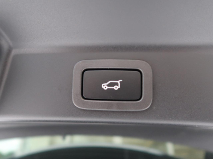 2021 Jaguar F Pace 3BA-DC2XC (UW-69f496908df47)[19]