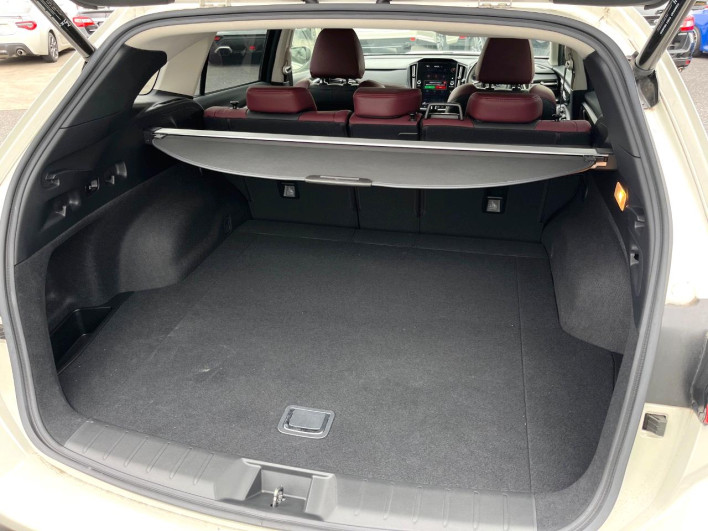 2021 Subaru Levorg 4BA-VN5 (UW-69f496a73a4c2)[11]