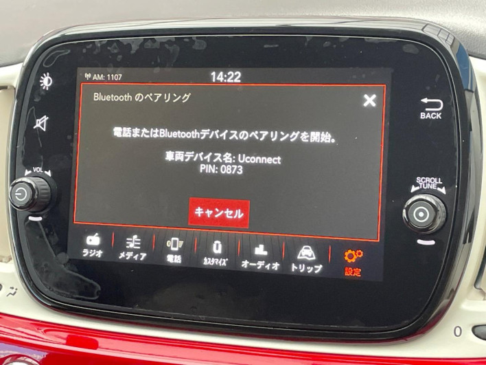 2020 Fiat 500 ABA-31212 (UW-69f496c489601)[18]