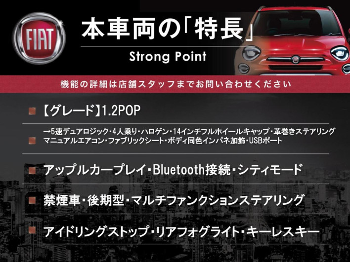 2020 Fiat 500 ABA-31212 (UW-69f496c489601)[4]