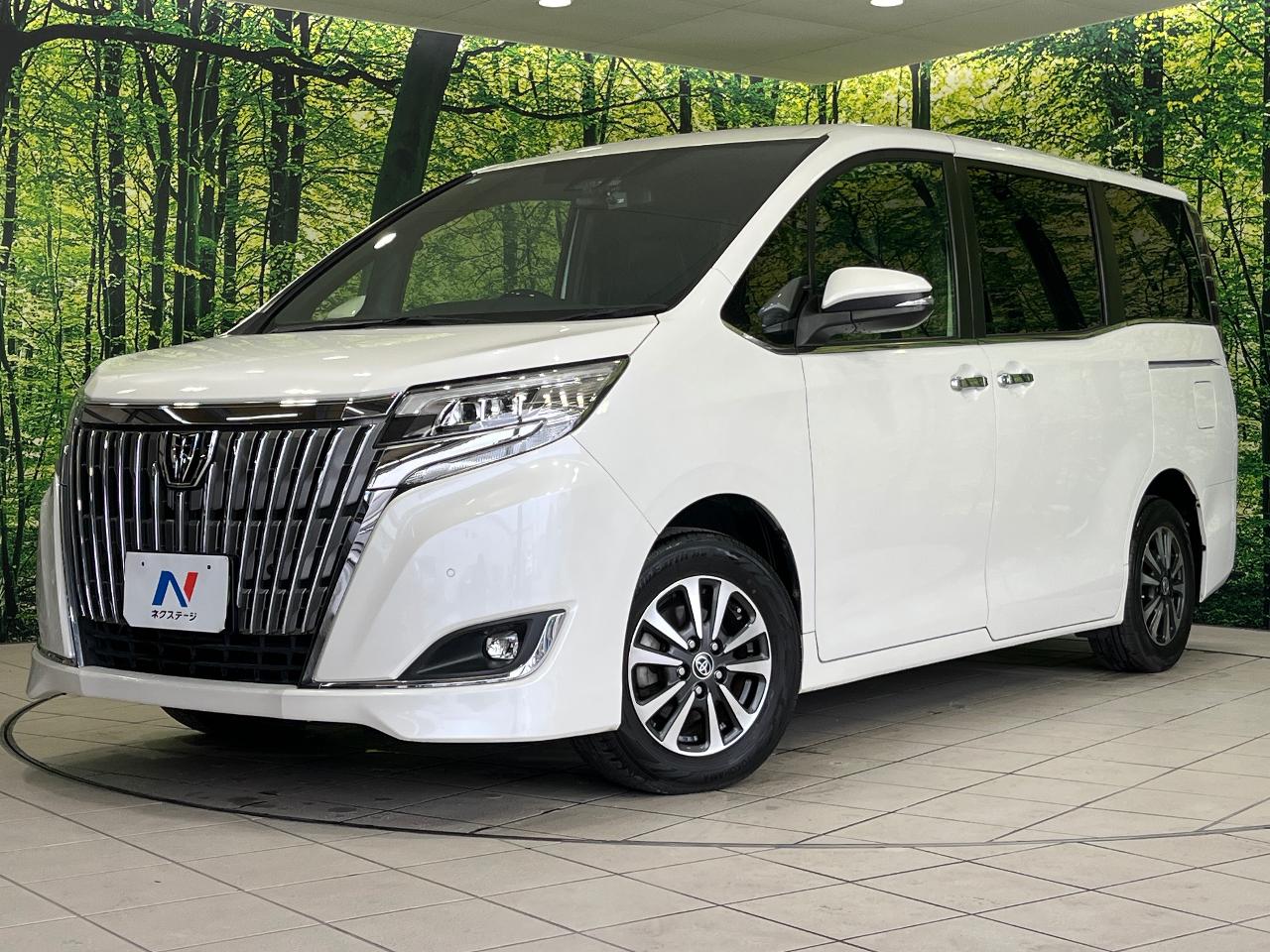 2019 Toyota Esquire DBA-ZRR80G
