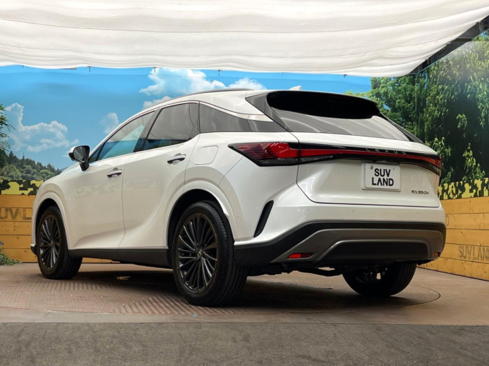 2024 Lexus RX 6AA-AALH10 (UW-69f56a2fab007)[23]