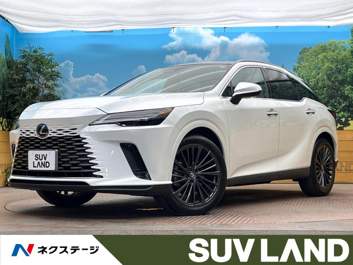 2024 Lexus RX 6AA-AALH10 (UW-69f56a2fab007)[3]