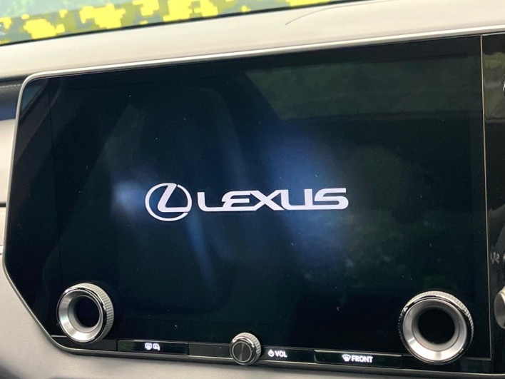 2024 Lexus RX 6AA-AALH10 (UW-69f56a2fab007)[12]