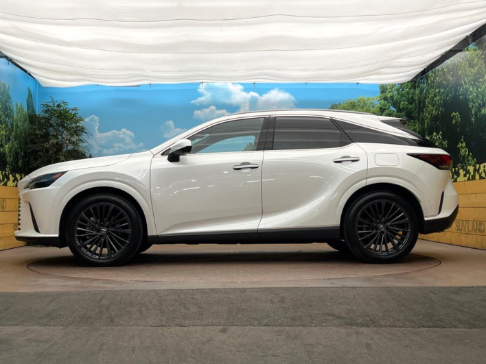2024 Lexus RX 6AA-AALH10 (UW-69f56a2fab007)[24]