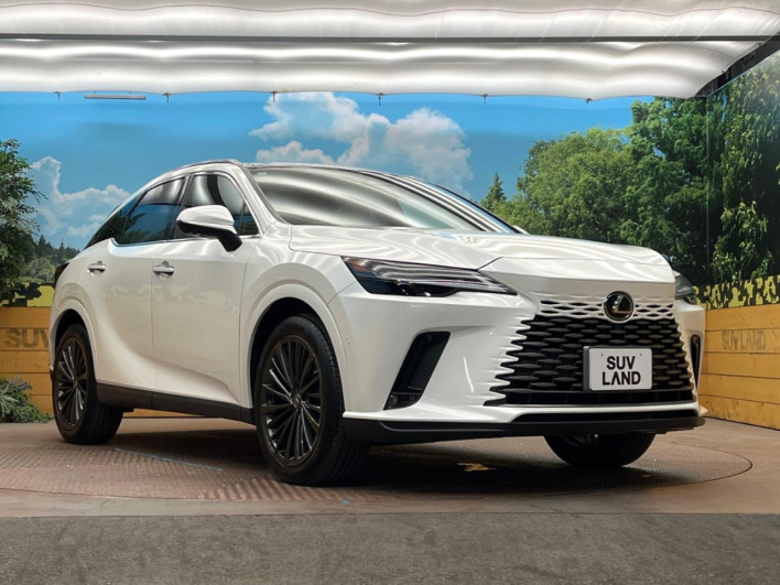 2024 Lexus RX 6AA-AALH10 (UW-69f56a2fab007)[19]