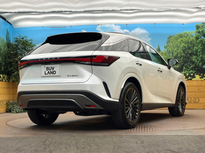 2024 Lexus RX 6AA-AALH10 (UW-69f56a2fab007)[21]